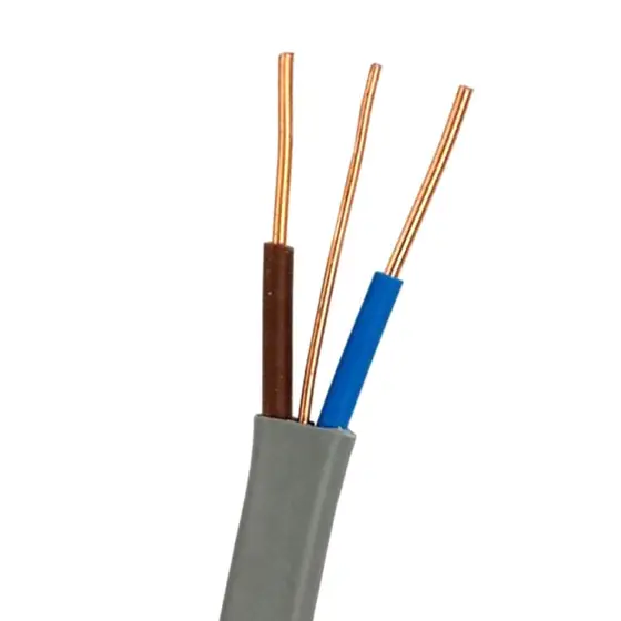 350/500V 450/750V Copper Solid Conductor PVC Insulation House Building Flat Wire